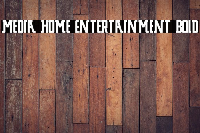 Media Home Entertainment Bold Example 2