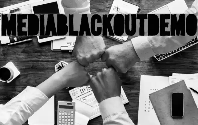 MediaBlackoutDemo フォント examples