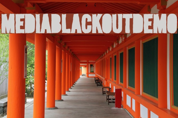 MediaBlackoutDemo Font examples
