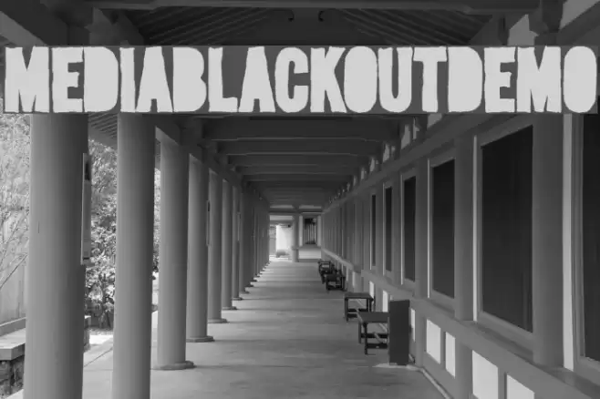 MediaBlackoutDemo フォント examples