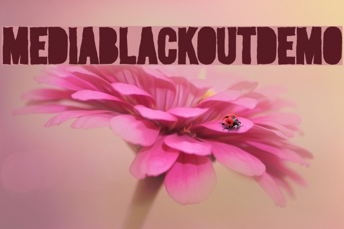 MediaBlackoutDemo Font examples