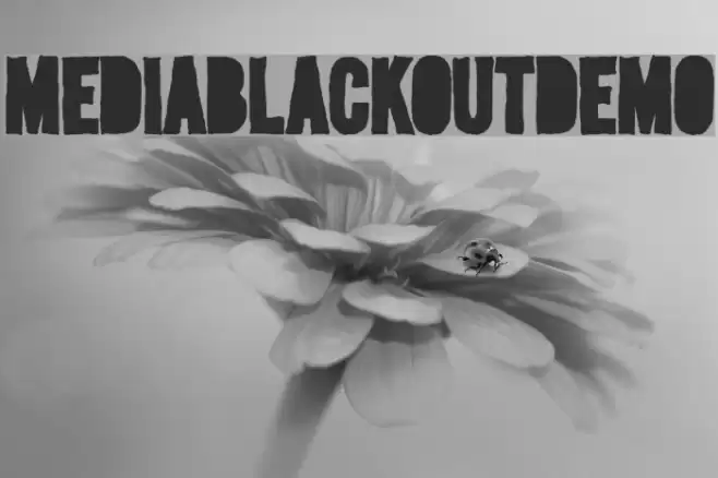 MediaBlackoutDemo フォント examples