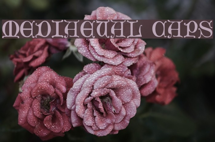 Mediaeval Caps Font examples