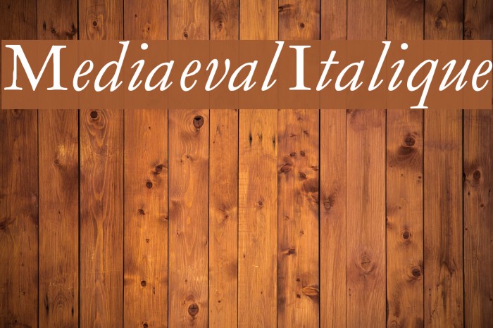 MediaevalItalique Font examples
