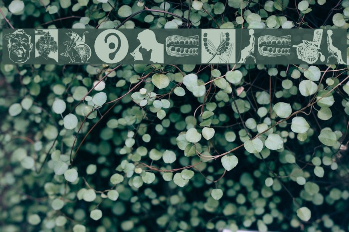 MedicalBats Example 2