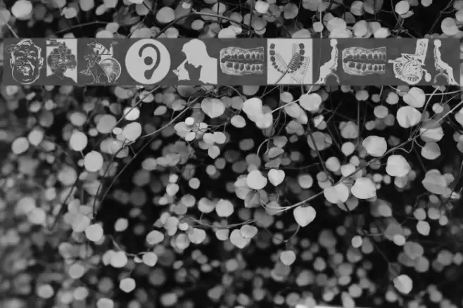 MedicalBats Font examples