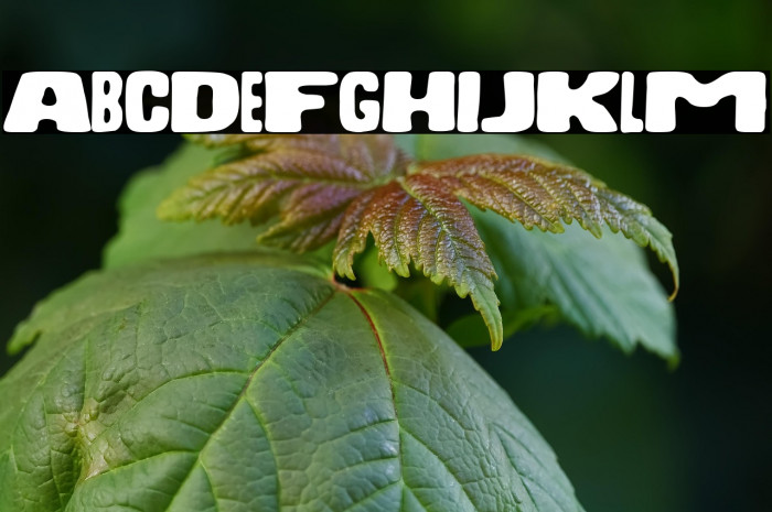 Medicaments Church Example 2