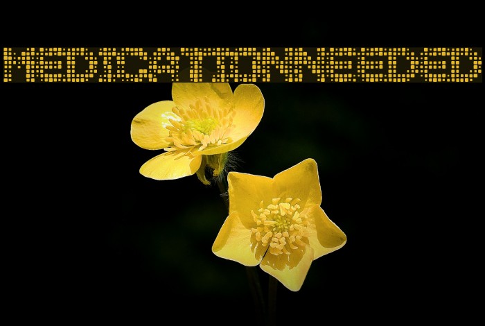 MedicationNeeded Font examples