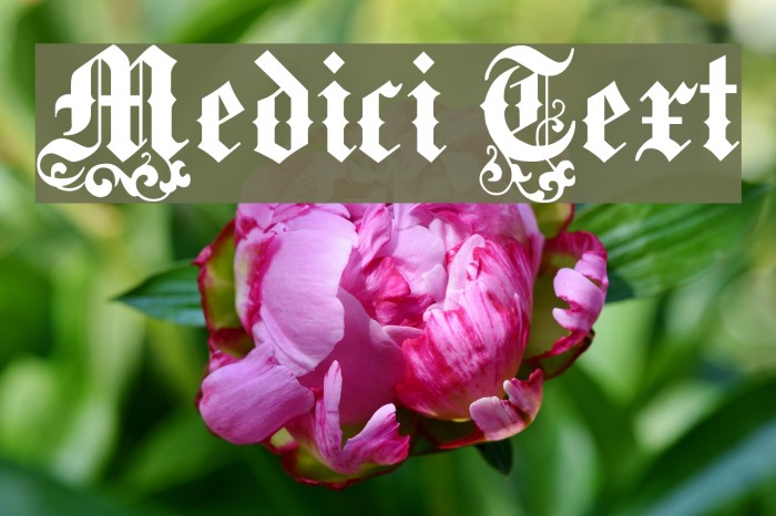 Medici Text Font examples