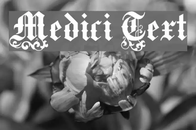 Medici Text Шрифта examples