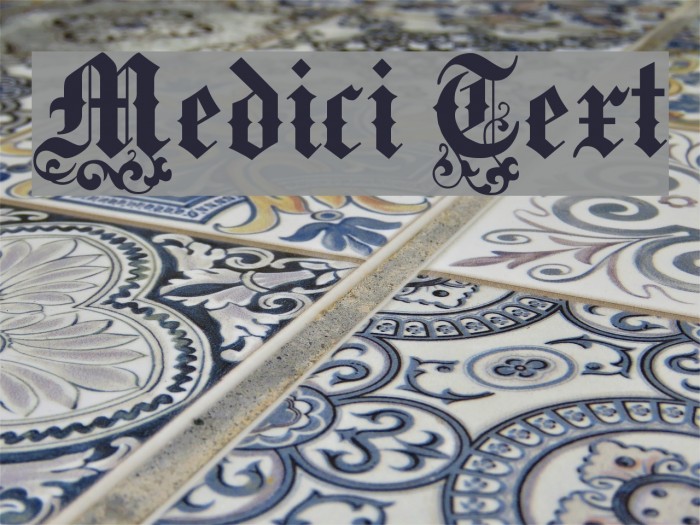 Medici Text Font examples