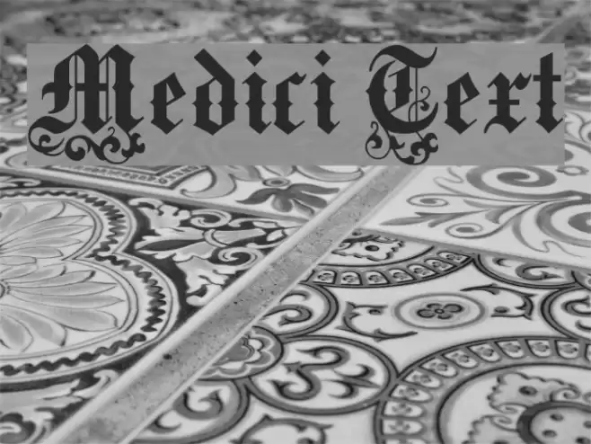 Medici Text Шрифта examples