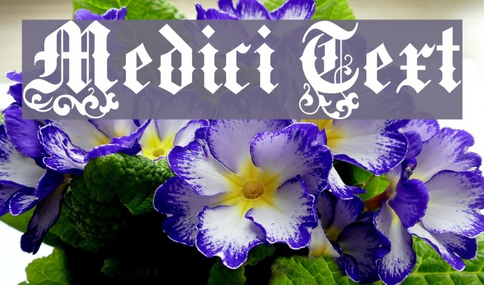 Medici Text Font examples