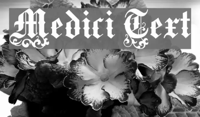 Medici Text Шрифта examples