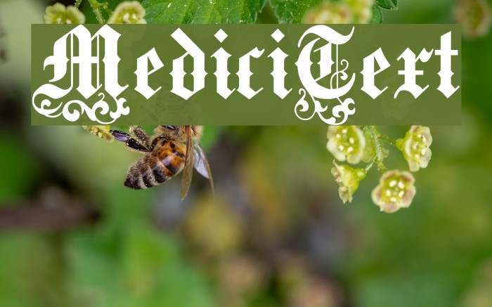 MediciText Polices examples
