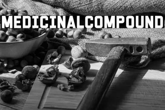 Medicinal Compound Example 2