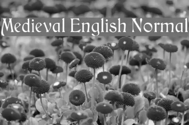 Medieval English Normal Font examples