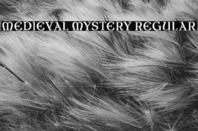 Medieval Mystery Regular Font examples