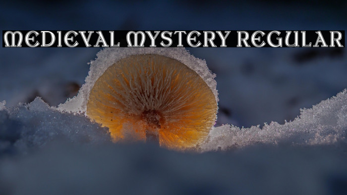Medieval Mystery Regular Example 3