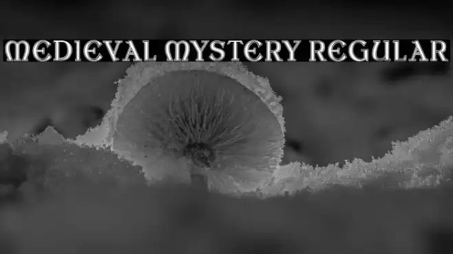 Medieval Mystery Regular Font examples