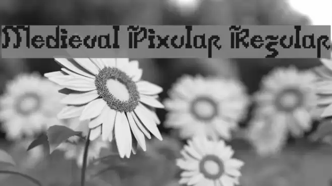 Medieval Pixular Regular Font examples