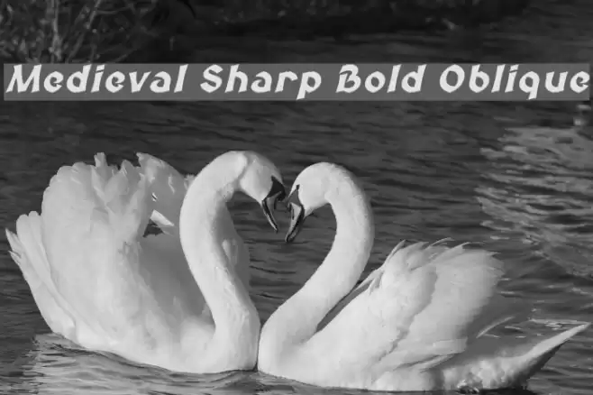 Medieval Sharp Bold Oblique Font examples