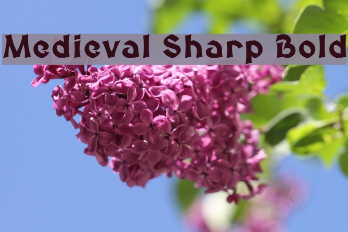 Medieval Sharp Bold Font examples