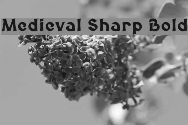 Medieval Sharp Bold Example 1