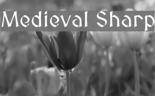 Medieval Sharp Example 1