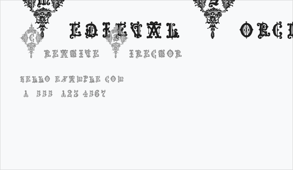 Medieval Sorcerer Ornamental Business Card