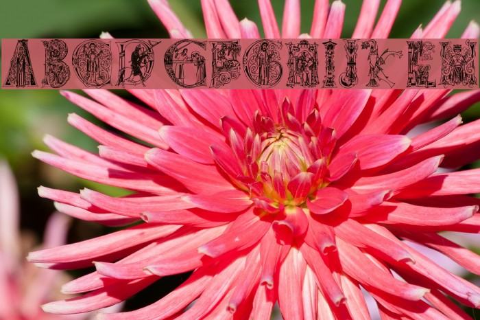 MedievalAlphabet Font examples