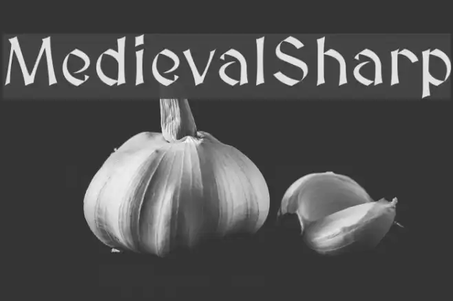 MedievalSharp Example 1