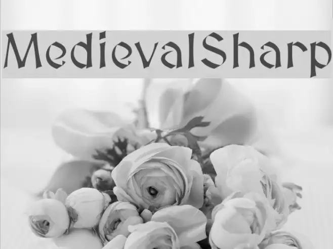 MedievalSharp Example 2