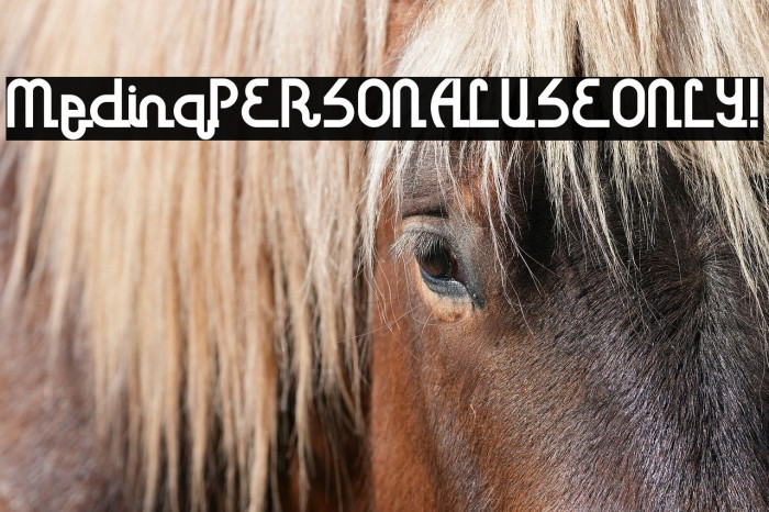 Medina PERSONAL USE ONLY! Example 2