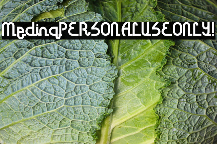 Medina PERSONAL USE ONLY! Example 3