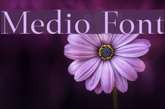 Medio Font examples