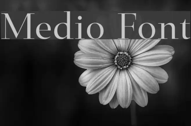 Medio Font examples