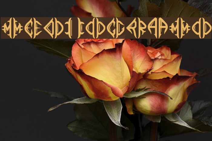 Mediogramo Font examples