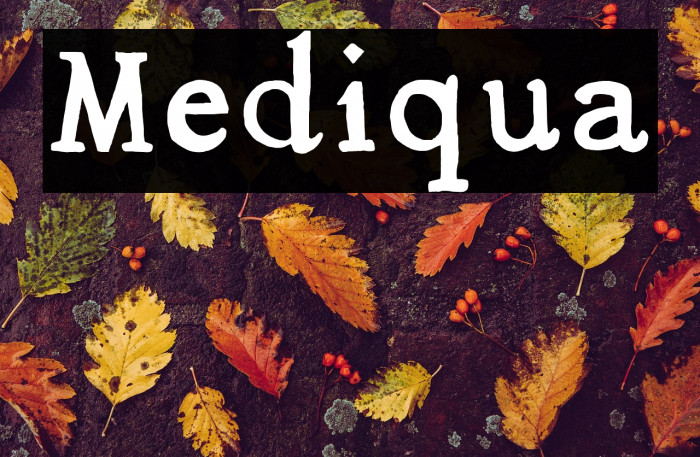 Mediqua Example 1