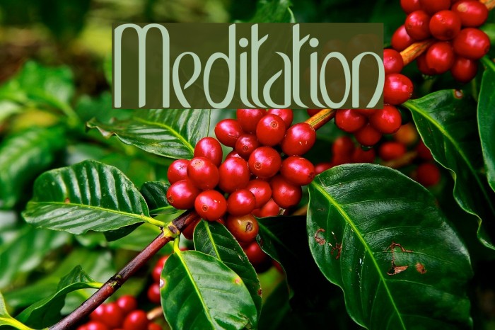 Meditation Font examples