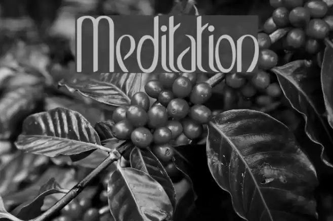 Meditation Font examples
