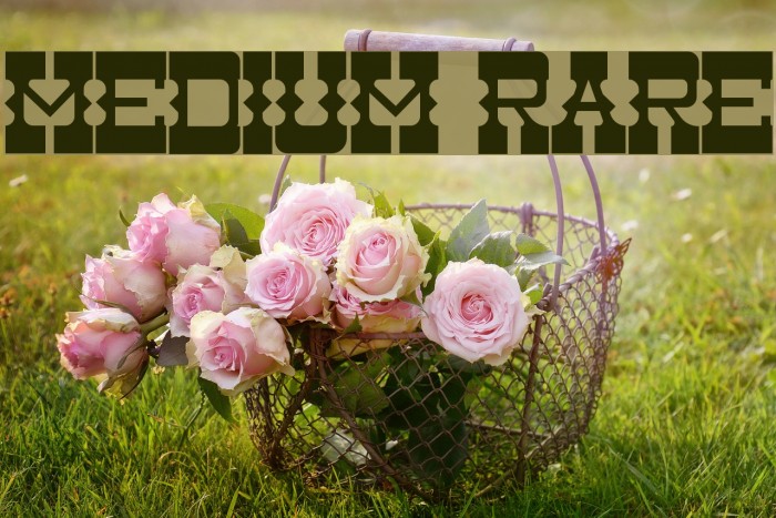 Medium Rare Font examples