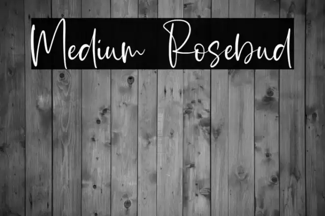 Medium Rosebud Font examples