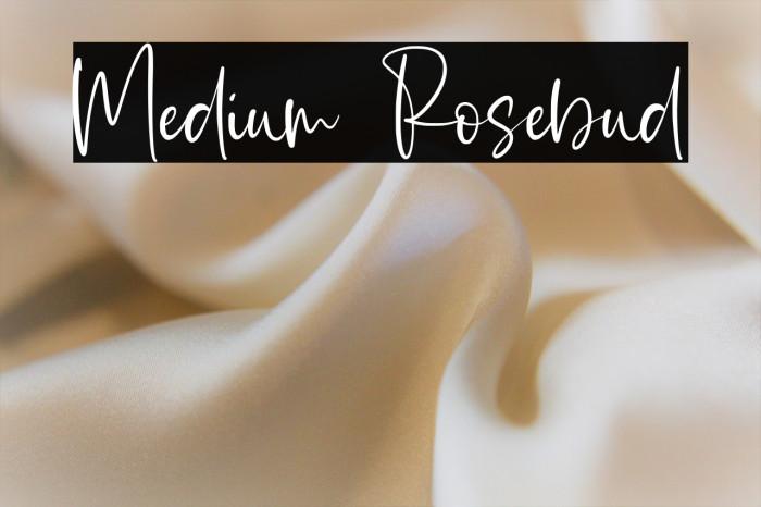 Medium Rosebud Example 3