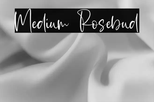 Medium Rosebud Font examples
