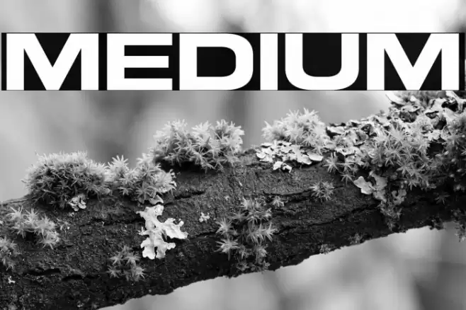 Medium फ़ॉन्ट examples