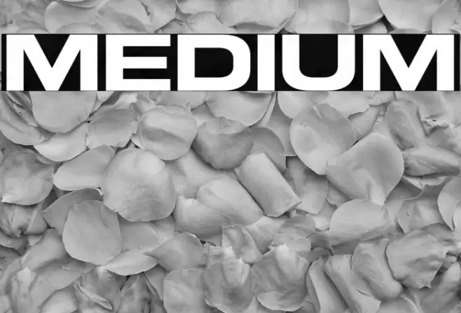 Medium फ़ॉन्ट examples