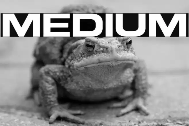 Medium फ़ॉन्ट examples