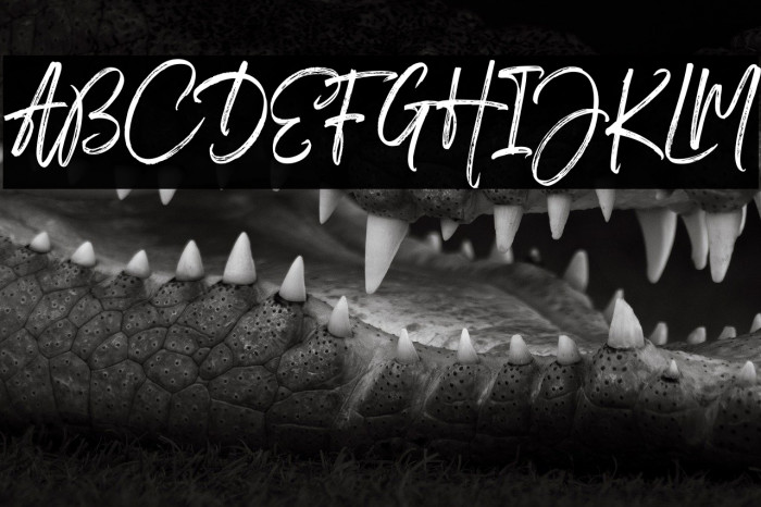 Medley Script Example 2