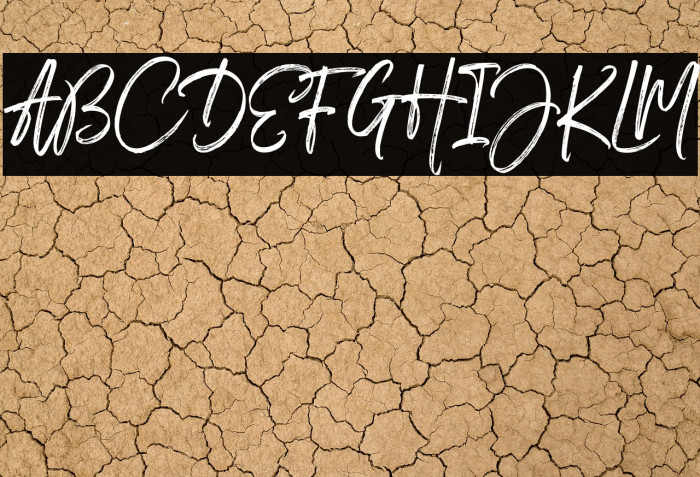 Medley Script Example 3